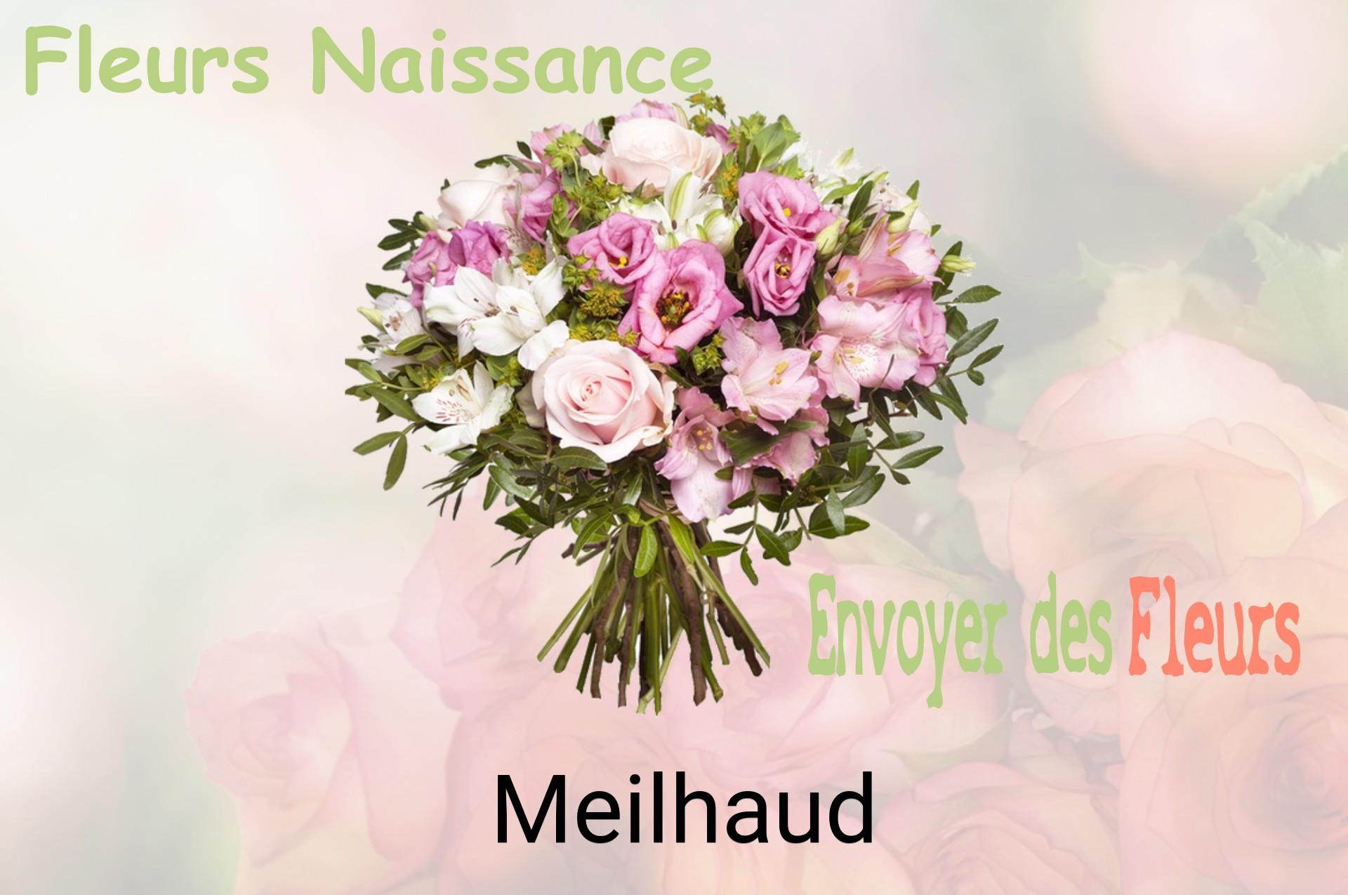 Bouquet de fleurs de naissance livré à Meilhaud